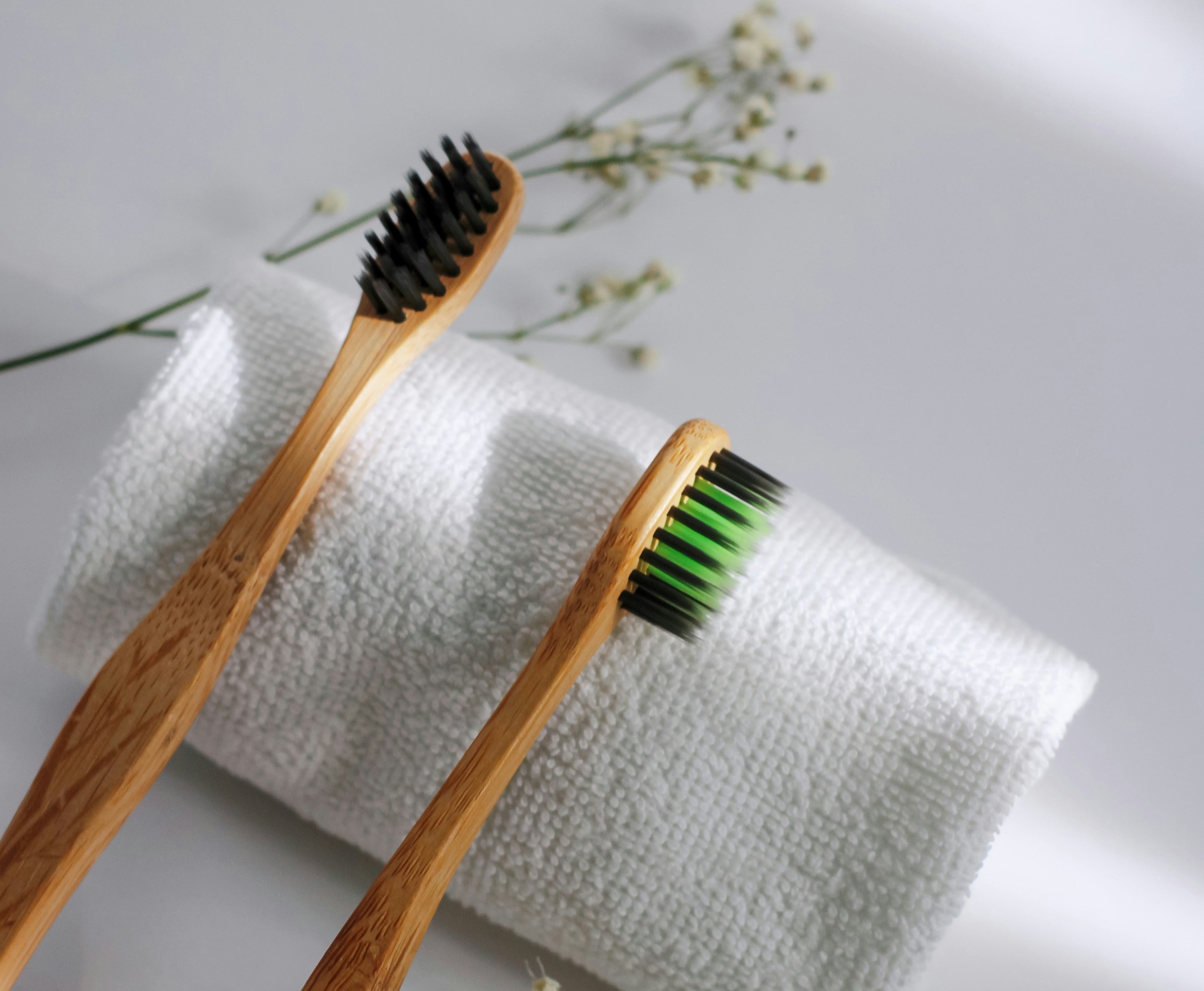 Nobleton Dental Smiles care